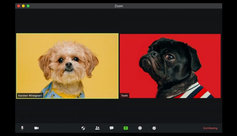 Connect with your team remotely